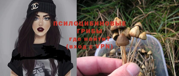 a pvp Белокуриха