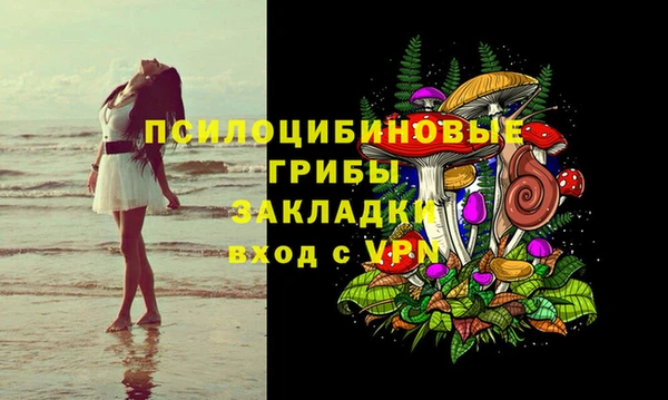 a pvp Белокуриха
