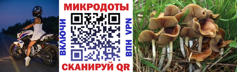 нарко площадка официальный сайт  Туймазы  Галлюциногенные грибы Psilocybine cubensis 